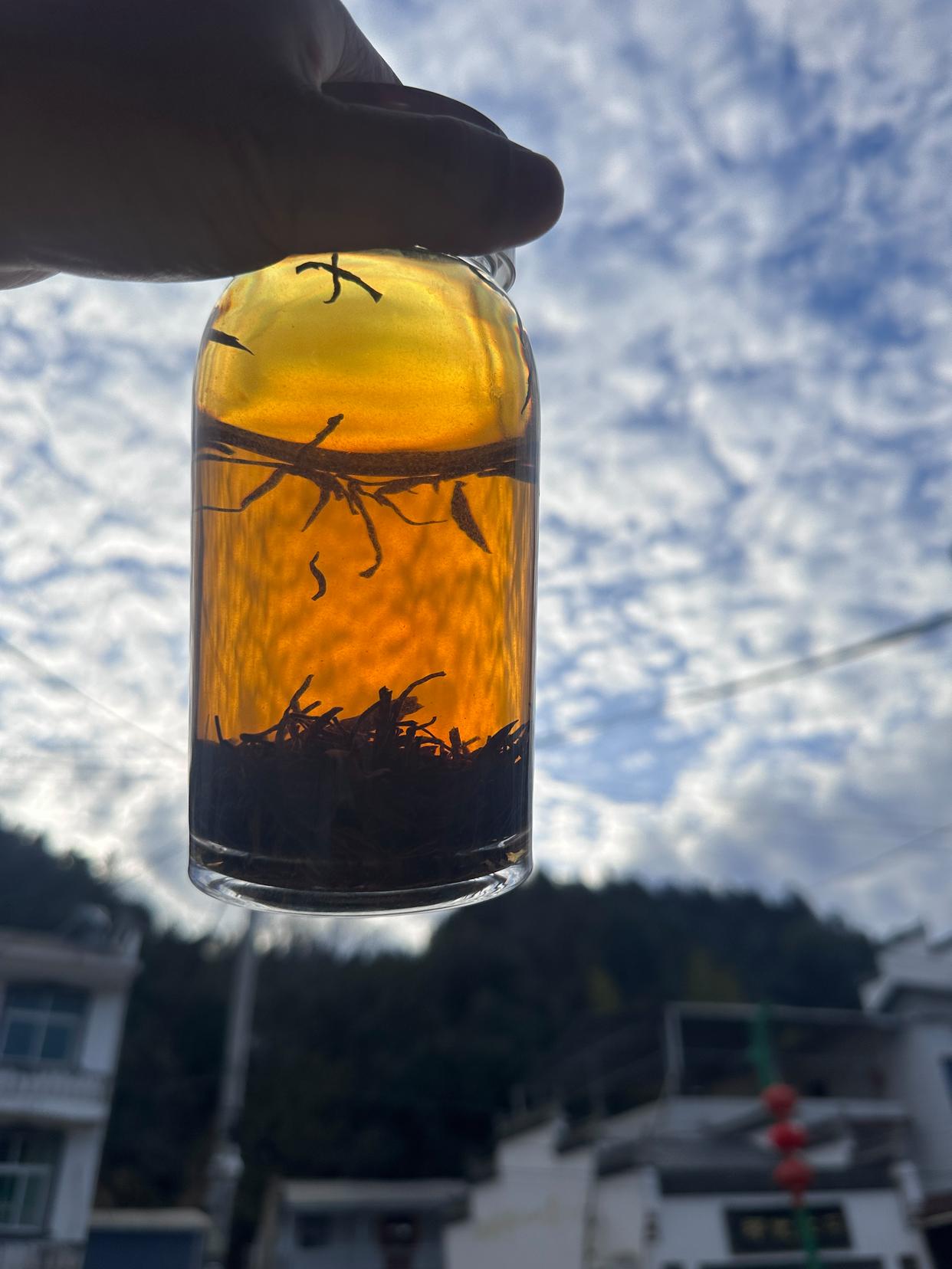 守护千年家族祭祀文化的传承者|中国传真新闻社专访国家级非遗传承人陈敦和