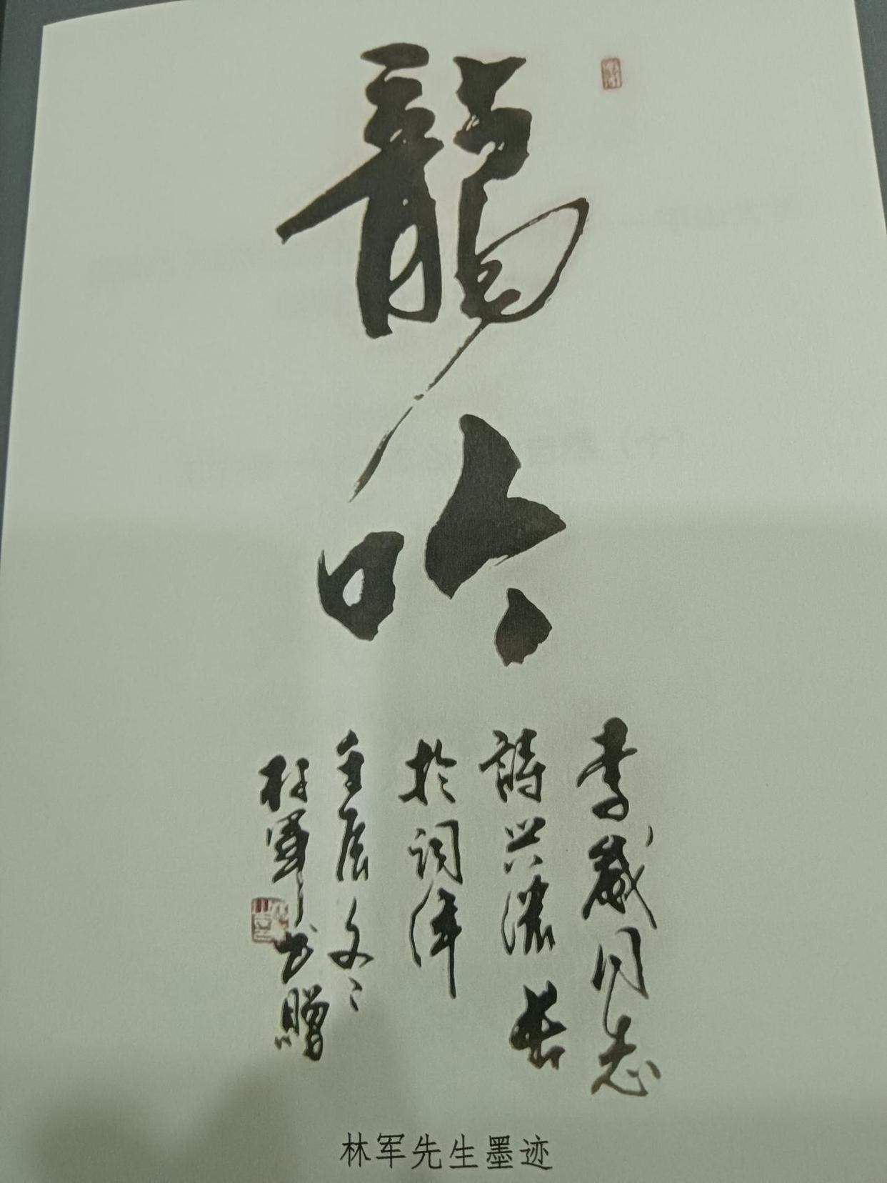 「侨乡文化」李崴诗词集《垦丁集(十)》出版-图片2